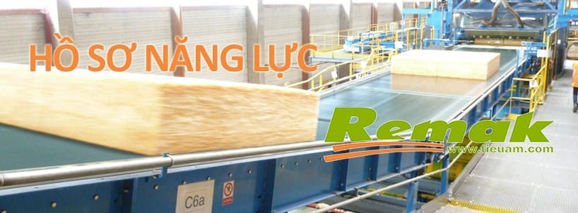 Hồ Sơ Năng Lực Công Ty Cổ Phần Xây Dựng Và Nội Thất Remak